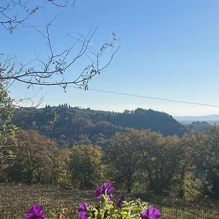 La Terrazza Di Trecento Apartment *