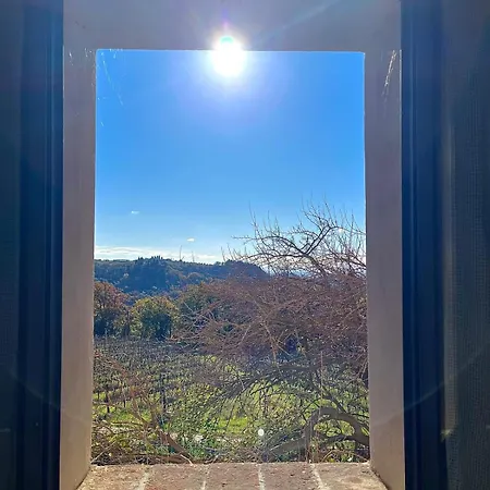 La Terrazza Di Trecento *